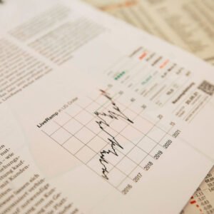 Consulting WordPress